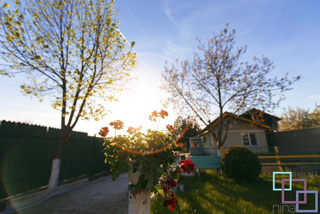 Pension Nina Douăzeci şi Trei August Exterior foto